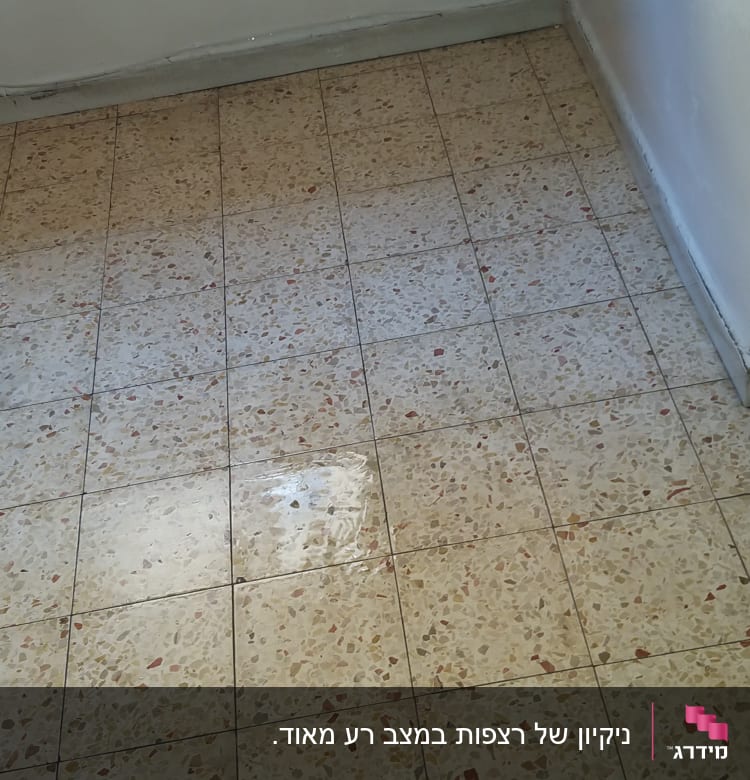 רצפה נקייה ומבריקה לאחר ניקוי